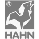 Logo HAHN GmbH & Co.KG in Hungen